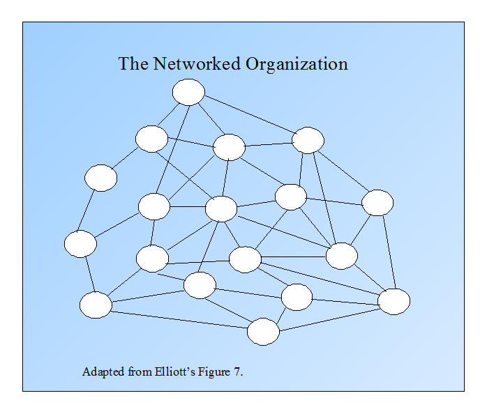 The Networked Organizaton