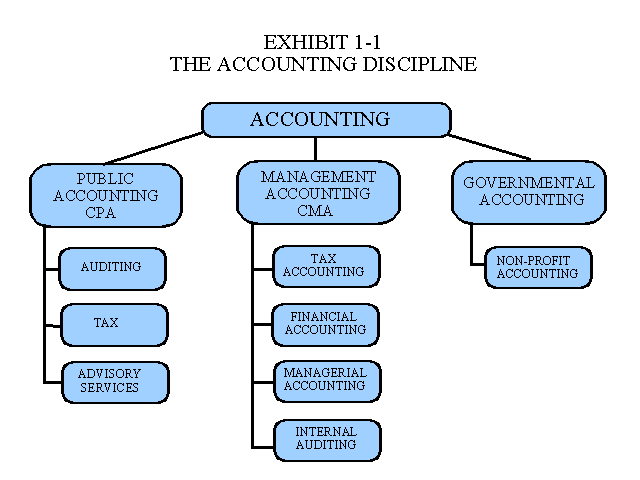 The accounting discipline